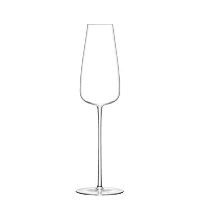 Lulu Champagne / Martini Glass Set of 12 - LSA INTERNATIONAL