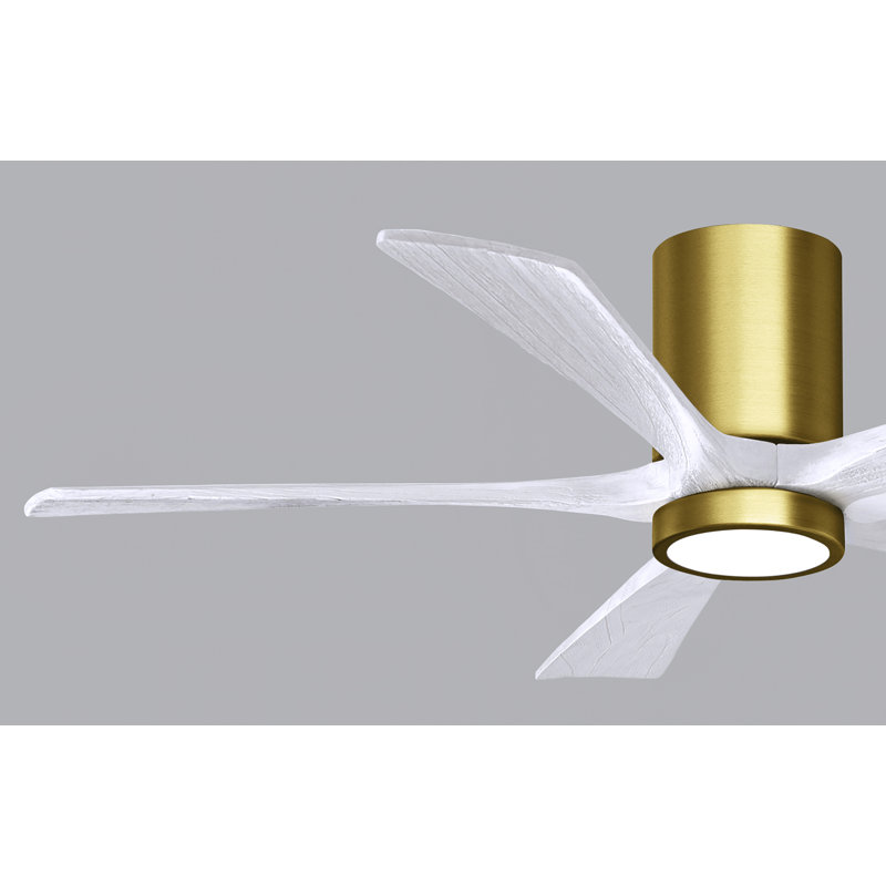 Irene Flushmount Light Kit 5 Blade LED Ceiling Fan, Matte White, Brushed Brass, 52"