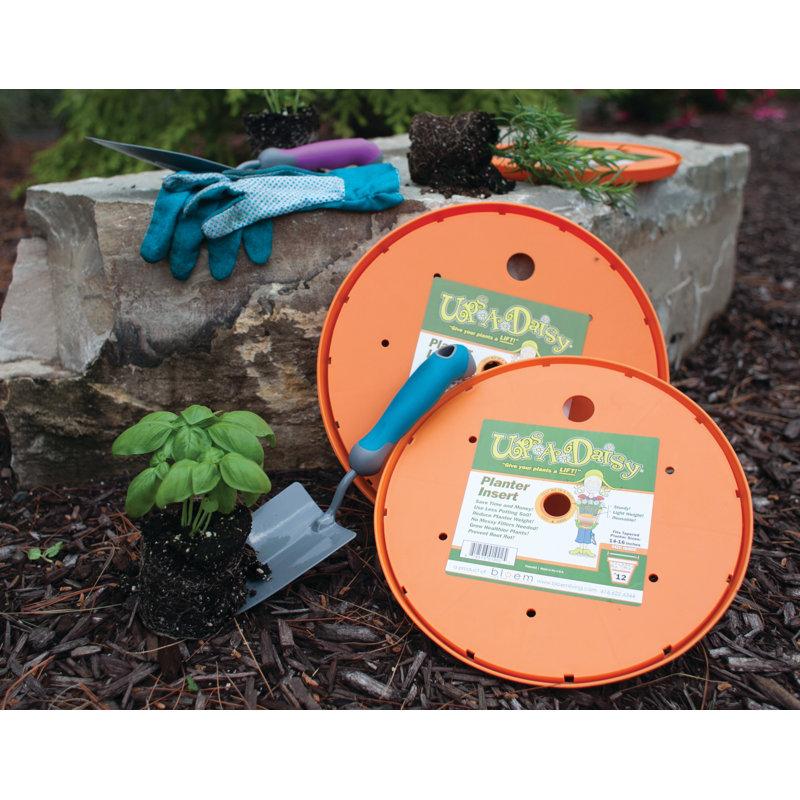 Ups-A-Daisy Round Indoor/Outdoor Planter Insert, 1" H x 18" W x 18" D, Orange