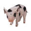 Statue bébé cochon debout-120494330
