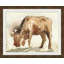 Grazing Cattle 1 Print
