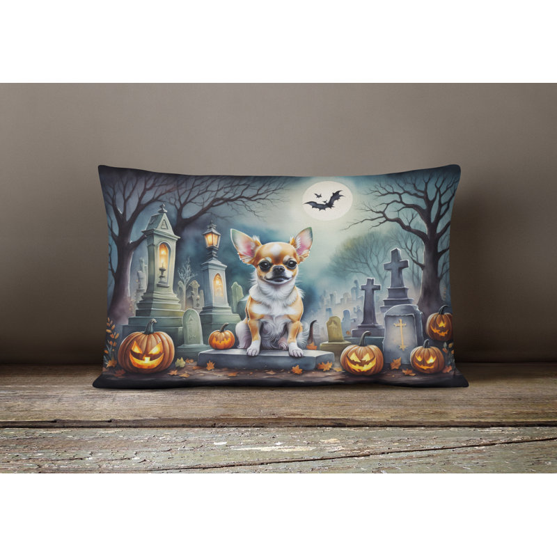 Other/No Pattern Outdoor Throw Pillow
