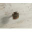 Commode 4 tiroirs Adainville Grand Noyer-110808641