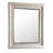 Kat Silver Champagne Wall Mirror