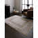 Benyam Abstract Area Rug