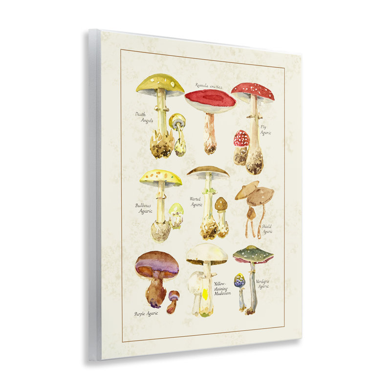 Plaque murale variée de divers champignons, design par Tina Higgins Designs Inc.