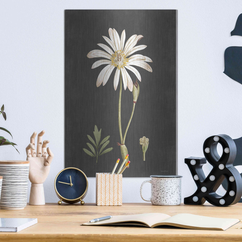 Red Barrel Studio® «Naturalist Bloom Study» par Lettered & Lined, art mural en métal, H 16 po x l 12 po
