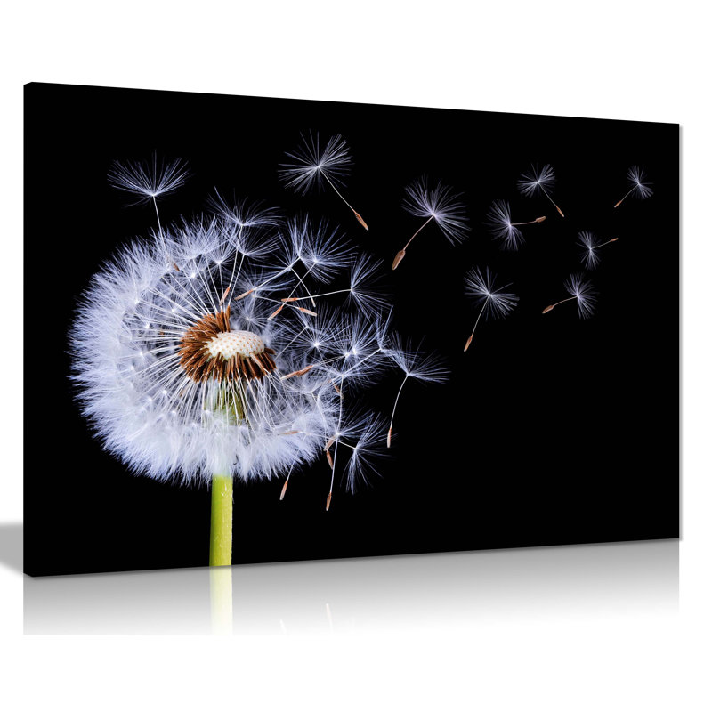 White Dandelion Blossom Wind Blown - Wrapped Canvas Print, 41cm H x 61cm W