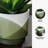 Gelen Ceramic Pot Planter