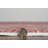 Callison Area Rug-478592612