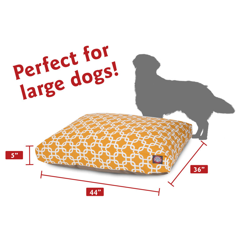 Coussin Links Orthopedic, Jaune, Grand (l 36 po x P 44 po x H 5 po) ;