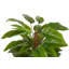 130cm Faux Banana Leaf Plant in Pot