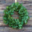 Couronne de porte 24 po Salal