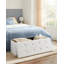 Rosica 110cm Wide Rectangle Footstool Ottoman with Storage