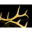 Gold Antler Magnum