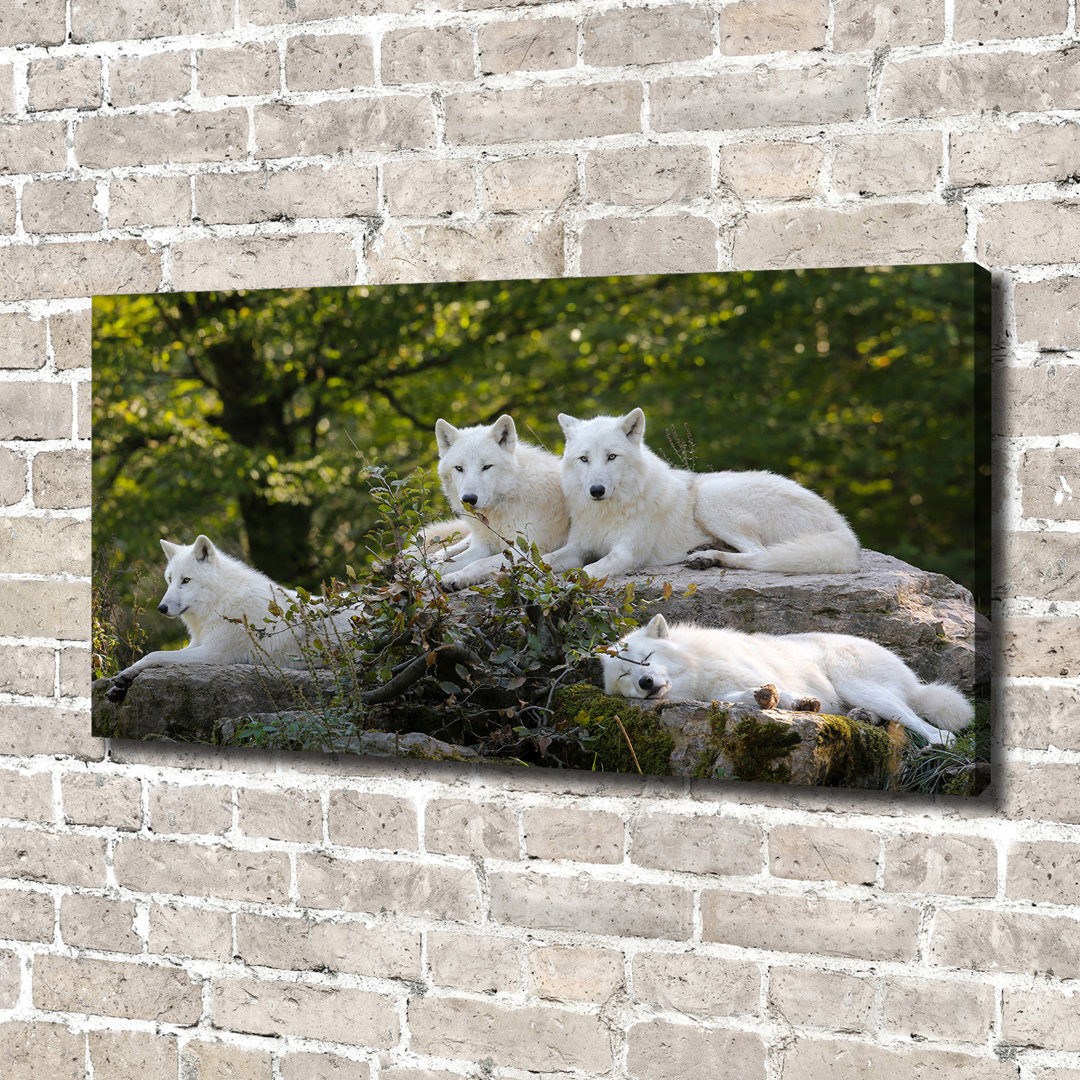 White Wolves Rock - Ungerahmte Kunstdrucke auf Leinwand