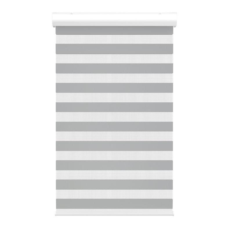 Store à enroulement semi-transparent noir, l 24 po x L 72 po, gris