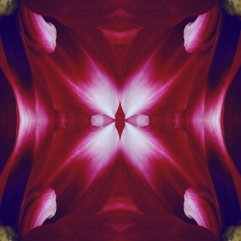 Lillian August " Ruby Red Kaleidoscope " by Lillian August