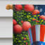 Drapeau «All American House»-112702559