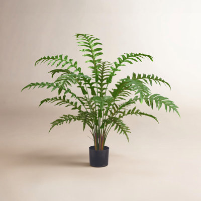 Weatherhill 36" Fern Plant with Base Included
