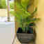 Photos des clients 1 de 1