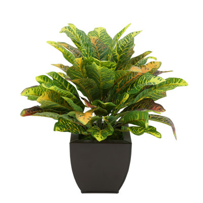 18'' Faux Croton Plant in Metal Pot