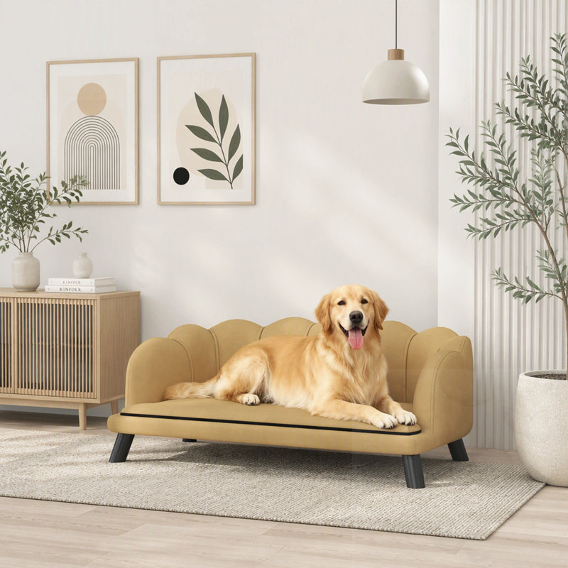 Dog Bed with Cushion