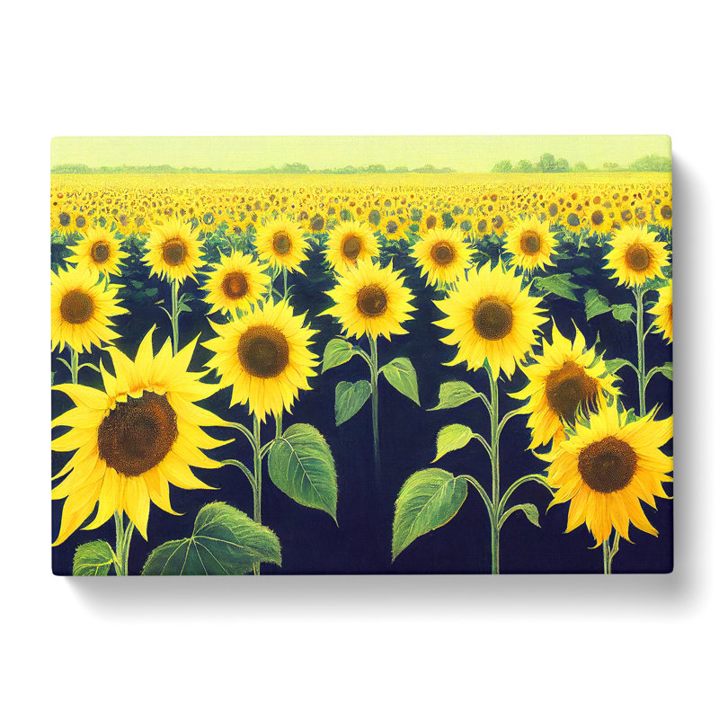 Masterful Sunflower Field - Wrapped Canvas, 35cm H x 50cm W x 3cm D