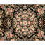 Hand Knotted Oriental Area Rug in Black