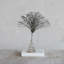 Inisha Annual Ornament Tree Topper-7445981-7445980