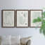 Verdure Ferns VII - ensemble de 3 peintures sur toile encadrées-1899046537-1899046542