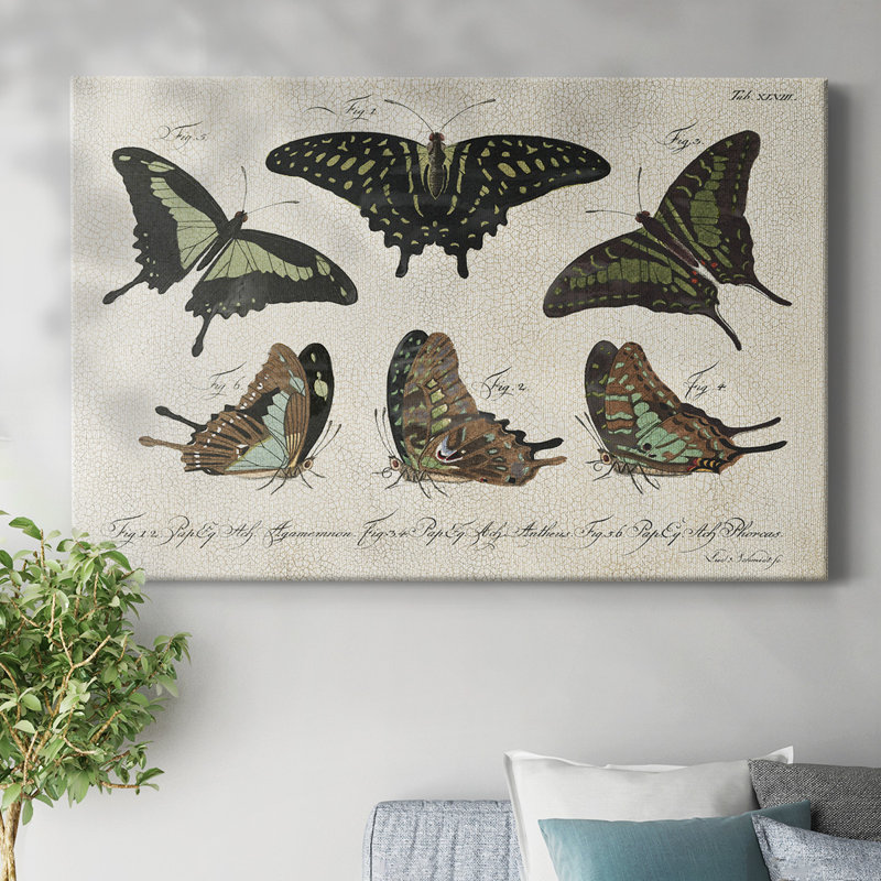 «Crackled Butterflies II», toile tendue avec châssis, H 24 po x l 36 po