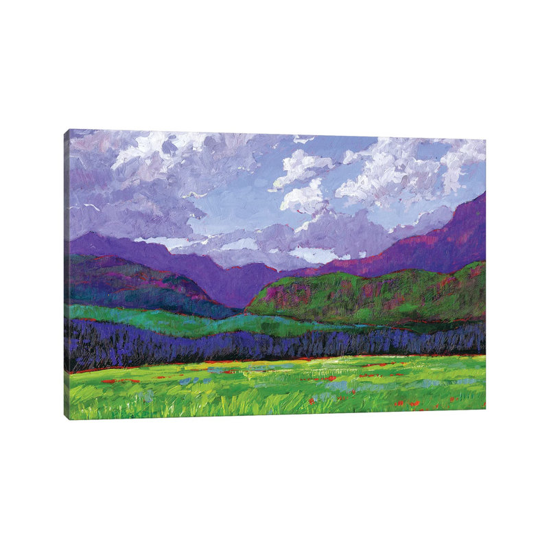Western Slope Landscape, Colorado by Patty Baker - Wrapped Canvas Painting, 30.48 cm H x 45.72 cm W