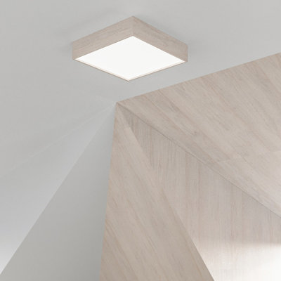 Adaysia Flush Mount