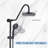 Rain Adjustable Shower Head 2.5 GPM GPM-64468037