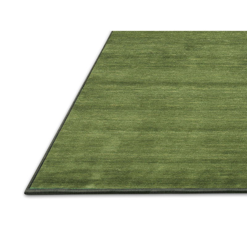 Tapis de zone vert contemporaine, Rectangle 2 pi x 4 pi