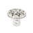 Burnished Silver