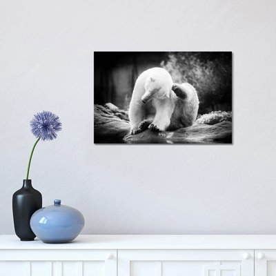 Scratching by Lars Van de Goor - 1 Piece Wrapped Canvas Wall Art