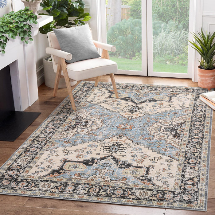 Barni Washable Oriental Indoor Rug, Rectangle 6' x 9'