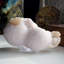 Jaboj Scolecite sur Stilbite