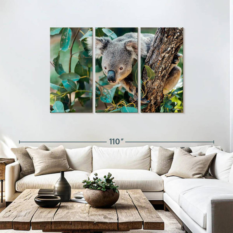 Australia Koala, 48" H x 74" W