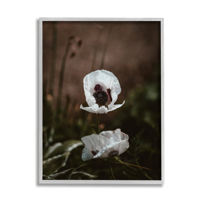 Lonely White Flower Blossom Forest par Incado - photographie
