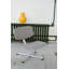 Arba Side Chair-1932651973-1932651975