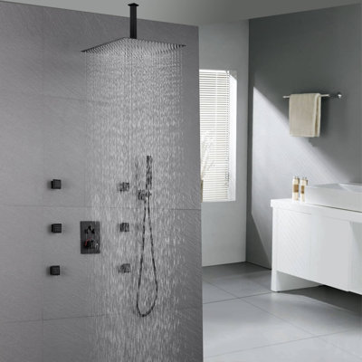 Système de douche thermostatique avec valve brute