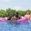 Steel Round Frame Set Pool 122cm H x 549cm W x 549cm L , with Pump Included
