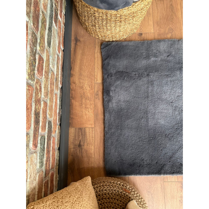 Tapis anthracite doux et durable Dobney, 60 x 90 cm (1,97 x 2,95 pi) | 100% polyester, épaisseur 5 cm, 600 g / m² | Antibactérien, lavable à la machine à 86 ° F | Parfait pour le salon, la chambre à coucher et le bureau