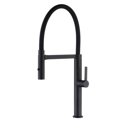 DAX Kitchen Faucet