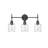 Asheville 3 - Light Dimmable Matte Black Vanity Light