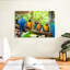 Macaw Party-108887707