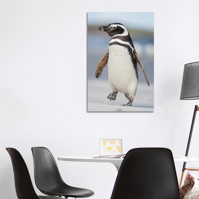 Magellanic Penguin, Falkland Islands. by Martin Zwick - Wrapped Canvas Print, 101.6 cm H x 66.04 cm W x 1.91 cm D